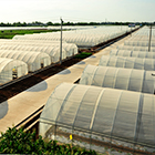 MG����(�й���)����ٷ���վ