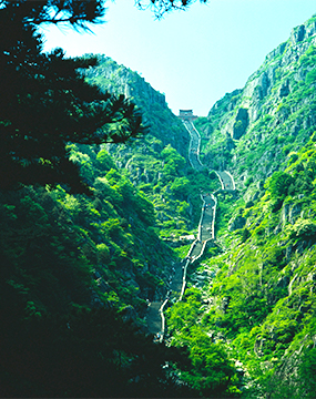 MG����(�й���)����ٷ���վ